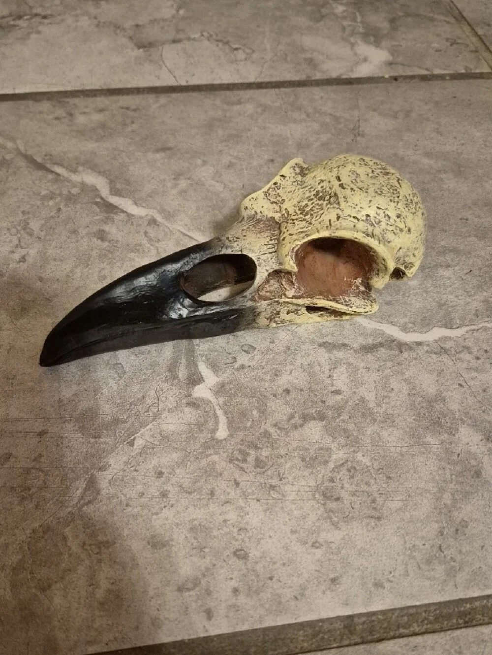Decorative Raven Skull Prop Resin